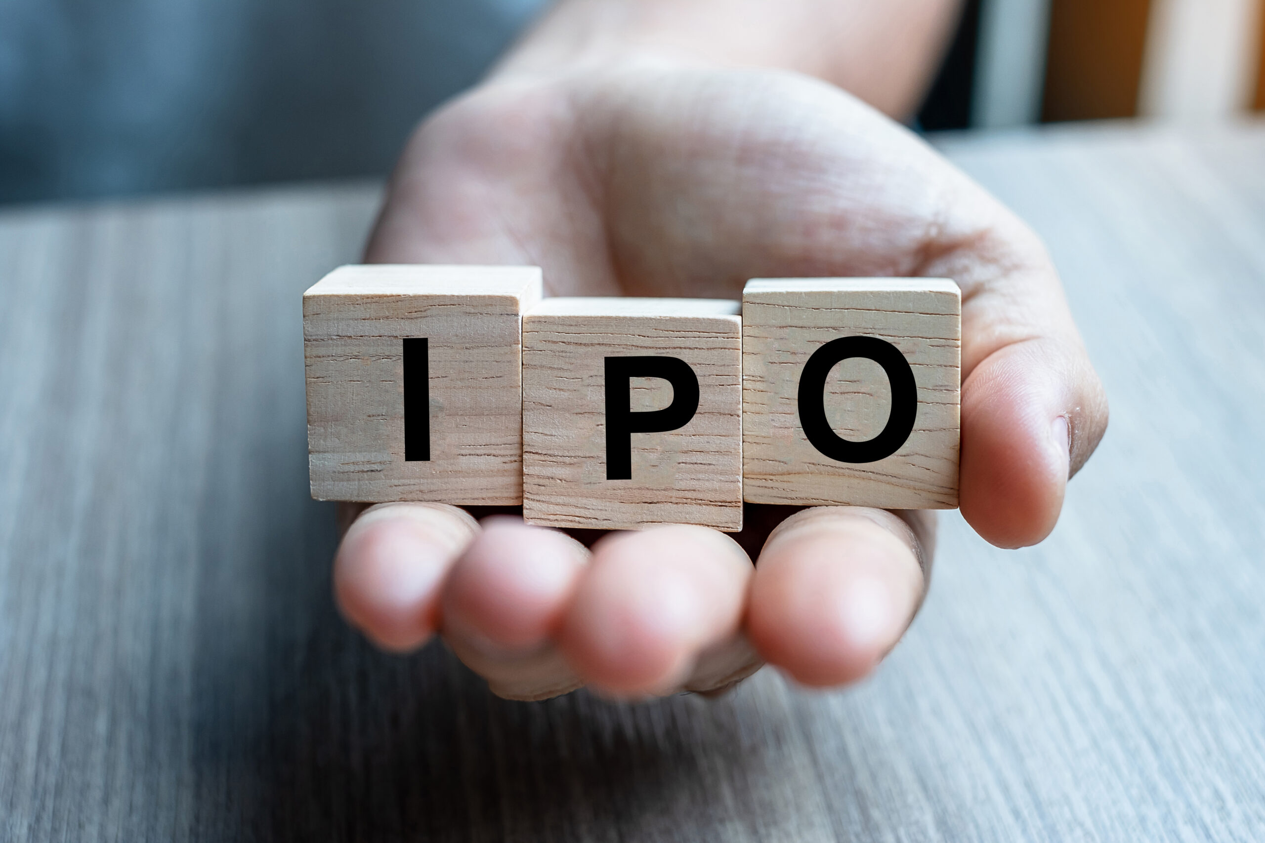 Avax Apparels And Ornaments IPO Review